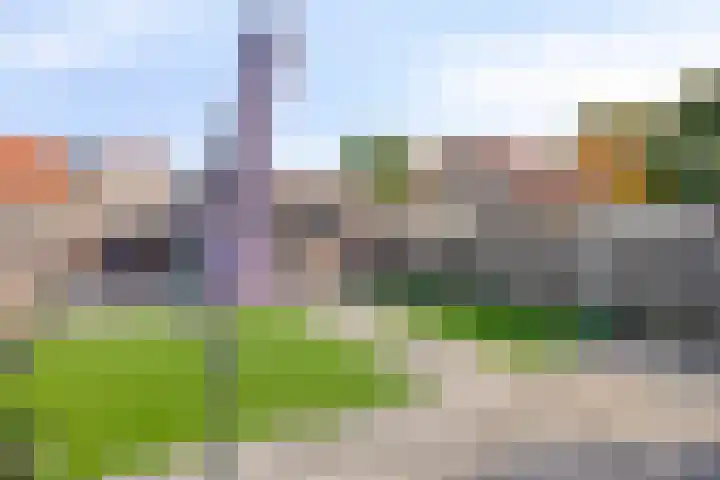 Katoenstraat 10 Geldrop thumbnail 35