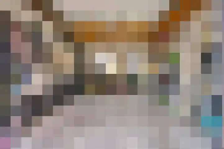 Katoenstraat 10 Geldrop thumbnail 38