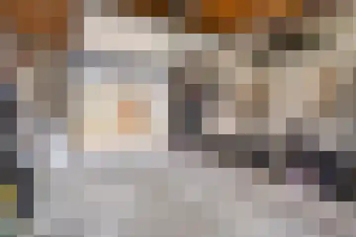 Katoenstraat 10 Geldrop thumbnail 39