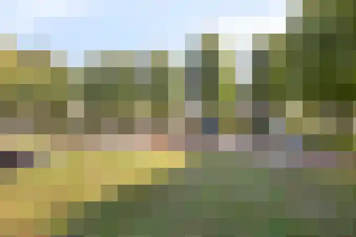 Katoenstraat 10 Geldrop thumbnail 41