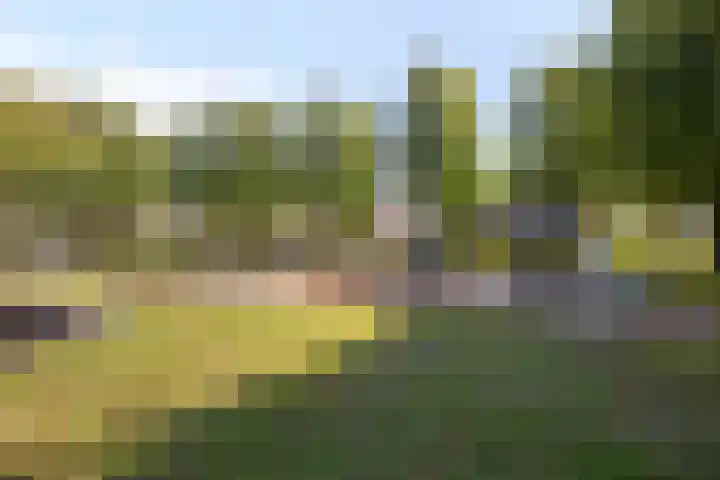 Katoenstraat 10 Geldrop thumbnail 42