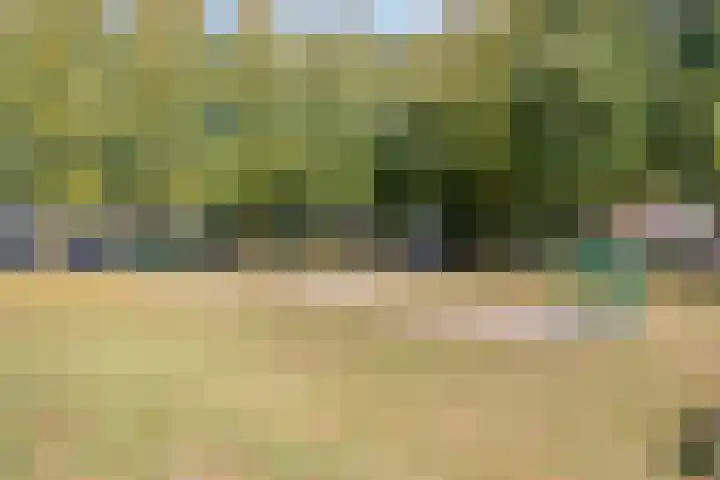 Katoenstraat 10 Geldrop thumbnail 43