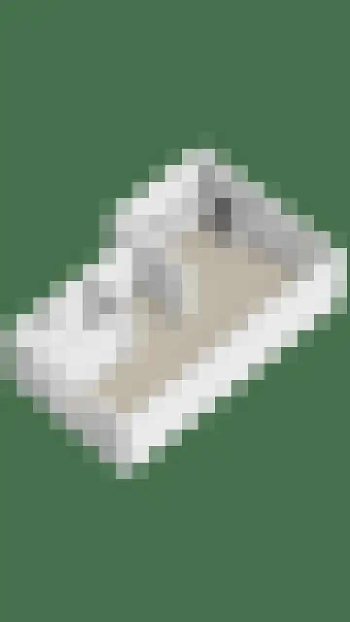 Katoenstraat 10 Geldrop thumbnail 44