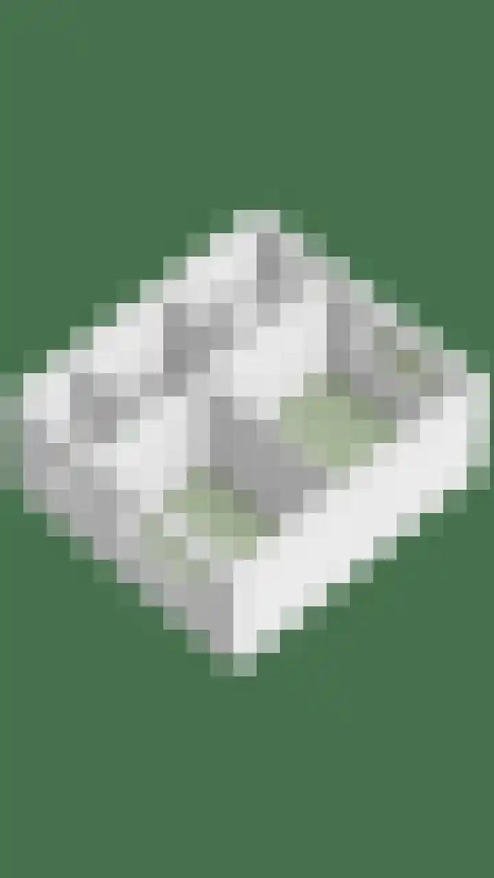 Katoenstraat 10 Geldrop thumbnail 45