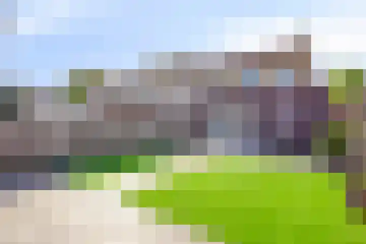 Katoenstraat 10 Geldrop thumbnail 6