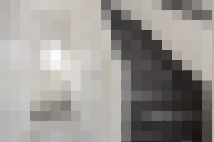 Katoenstraat 10 Geldrop thumbnail 9