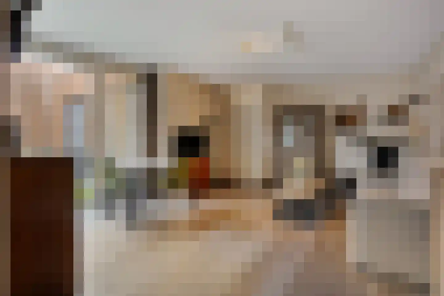 Katoenstraat 10 Helmond thumbnail 10
