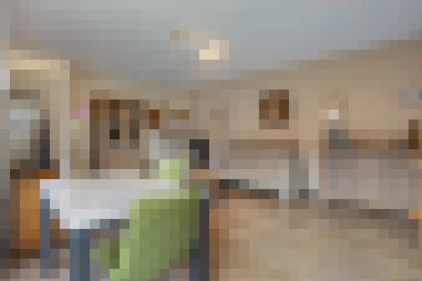Katoenstraat 10 Helmond thumbnail 12