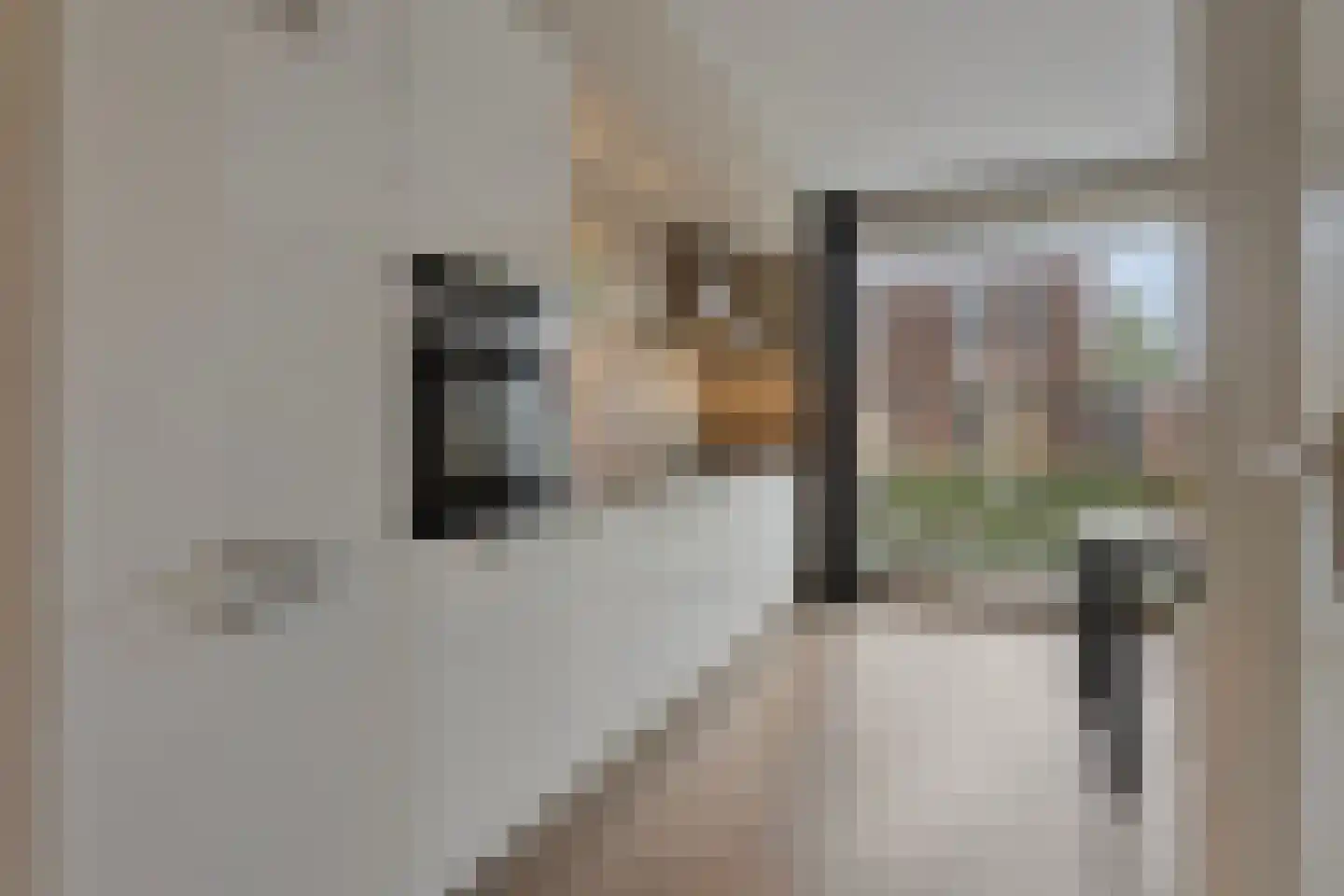 Katoenstraat 10 Helmond thumbnail 14