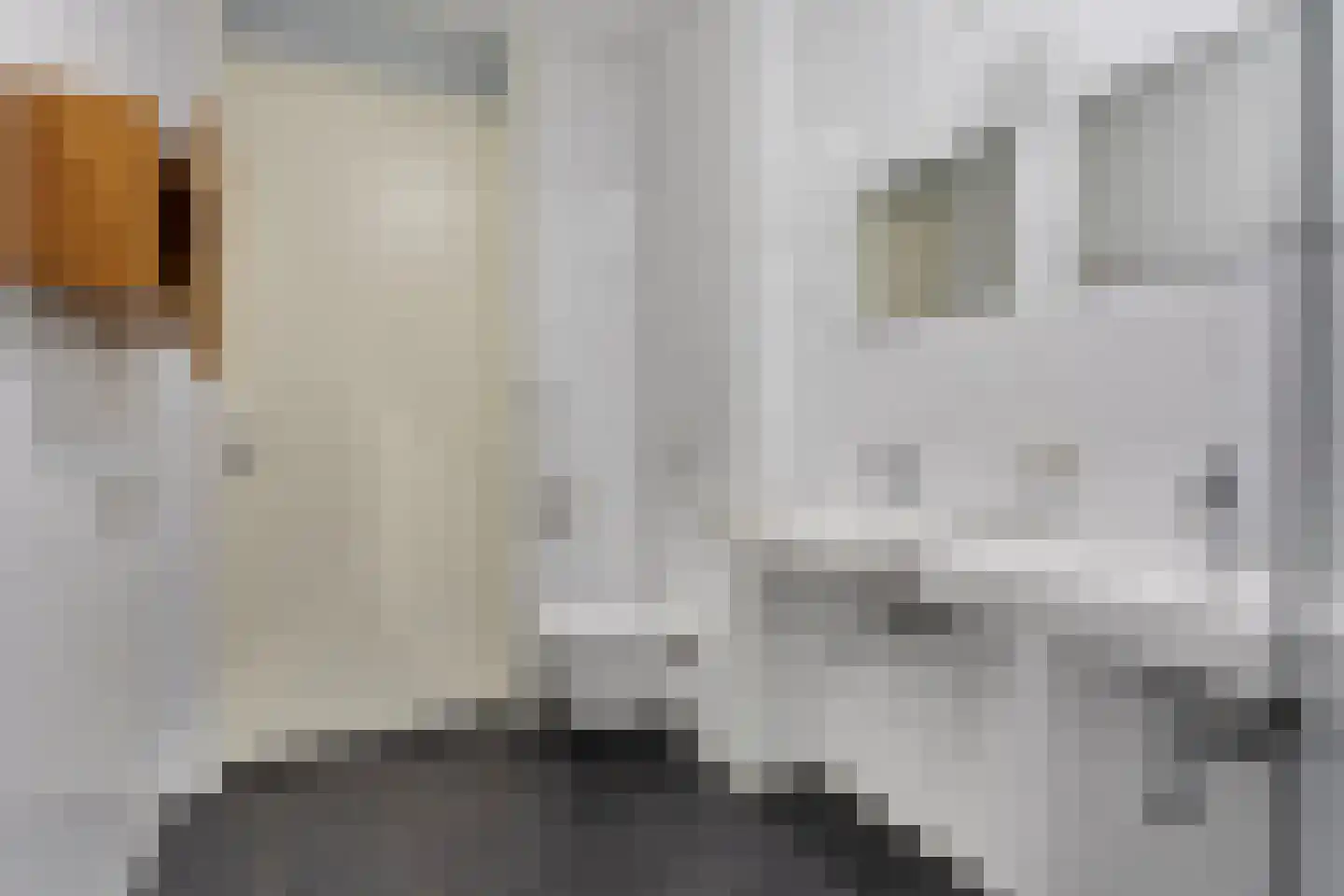 Katoenstraat 10 Helmond thumbnail 28