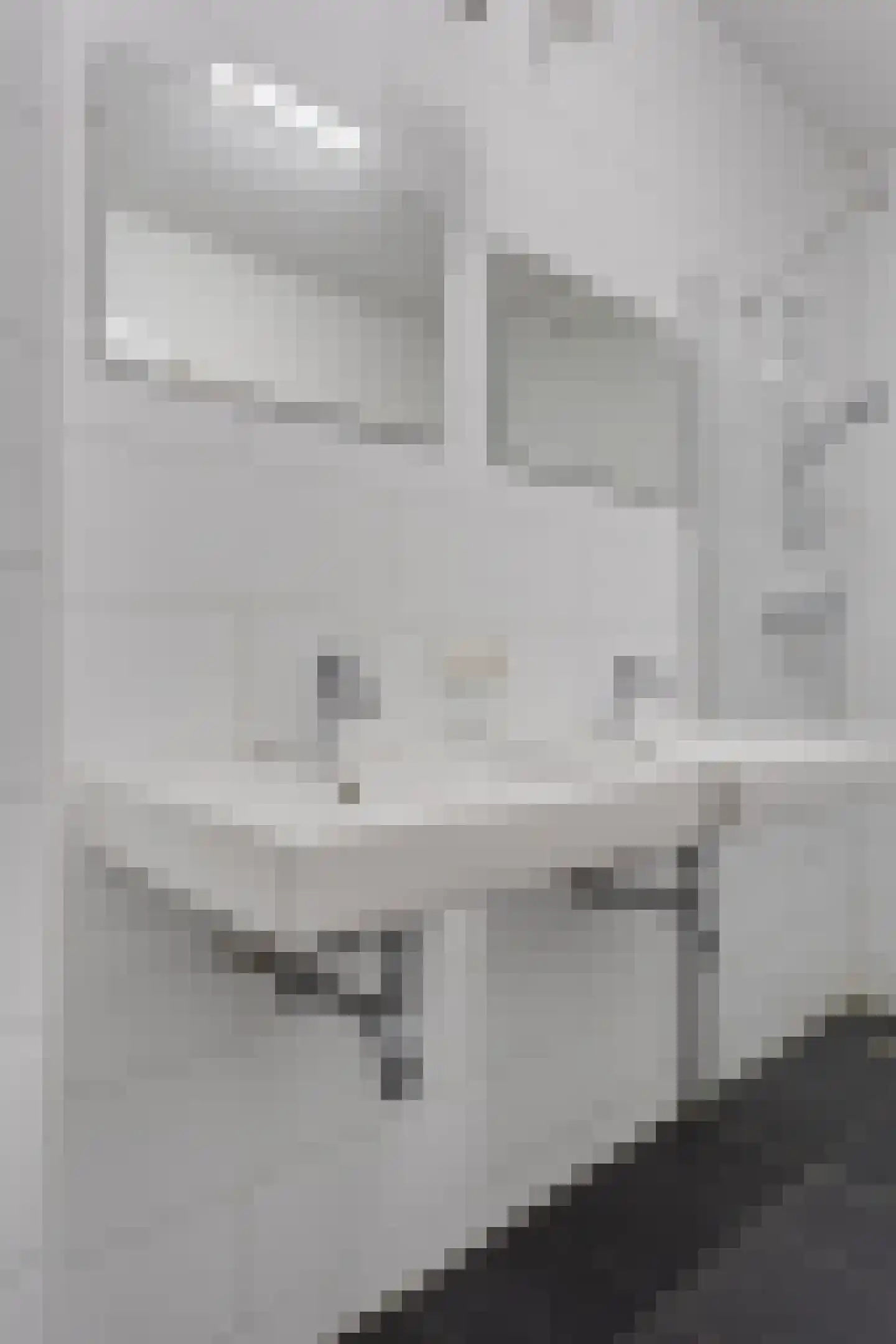 Katoenstraat 10 Helmond thumbnail 29
