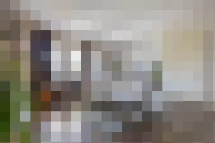 Katoenstraat 13 Deurne thumbnail 10