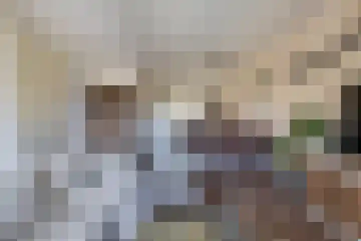 Katoenstraat 13 Deurne thumbnail 12