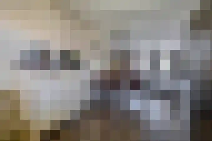 Katoenstraat 13 Deurne thumbnail 14