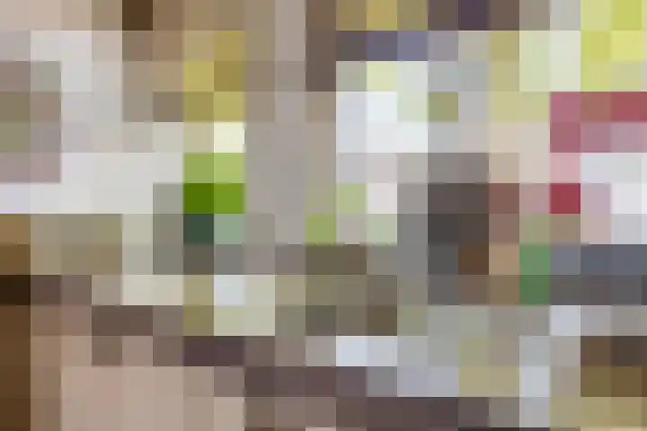 Katoenstraat 13 Deurne thumbnail 18