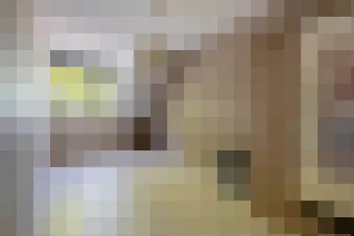 Katoenstraat 13 Deurne thumbnail 22