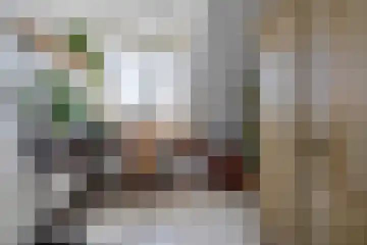 Katoenstraat 13 Deurne thumbnail 23