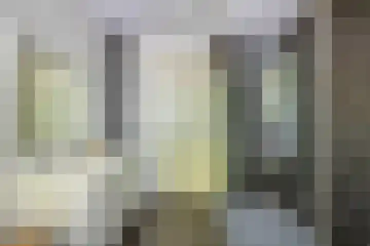 Katoenstraat 13 Deurne thumbnail 25