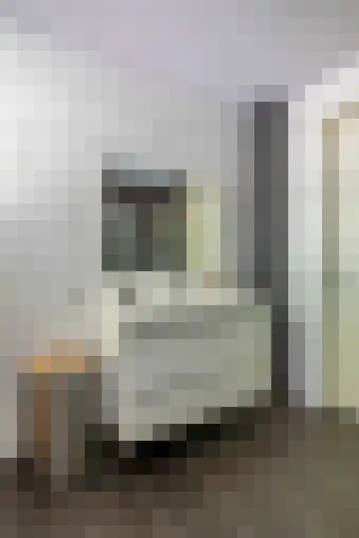 Katoenstraat 13 Deurne thumbnail 27