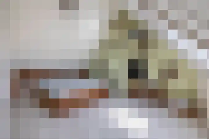 Katoenstraat 13 Deurne thumbnail 28