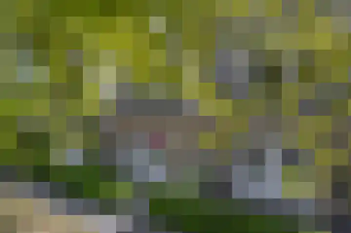 Katoenstraat 13 Deurne thumbnail 39
