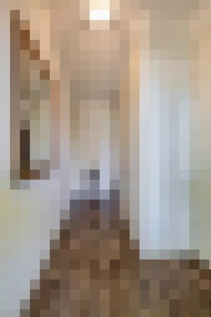Katoenstraat 13 Deurne thumbnail 7