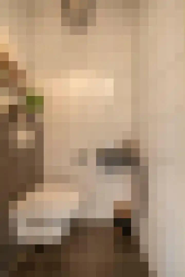 Katoenstraat 13 Deurne thumbnail 8