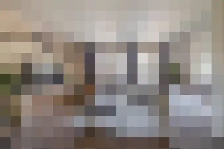 Katoenstraat 13 Deurne thumbnail 9