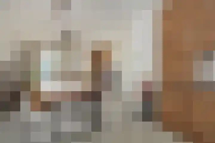 Katoenstraat 15 Deurne thumbnail 13