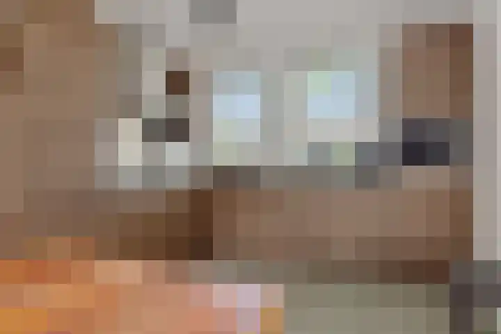 Katoenstraat 15 Deurne thumbnail 14