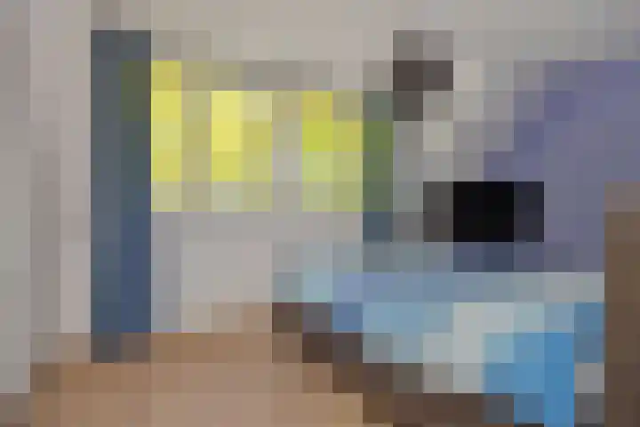 Katoenstraat 15 Deurne thumbnail 16
