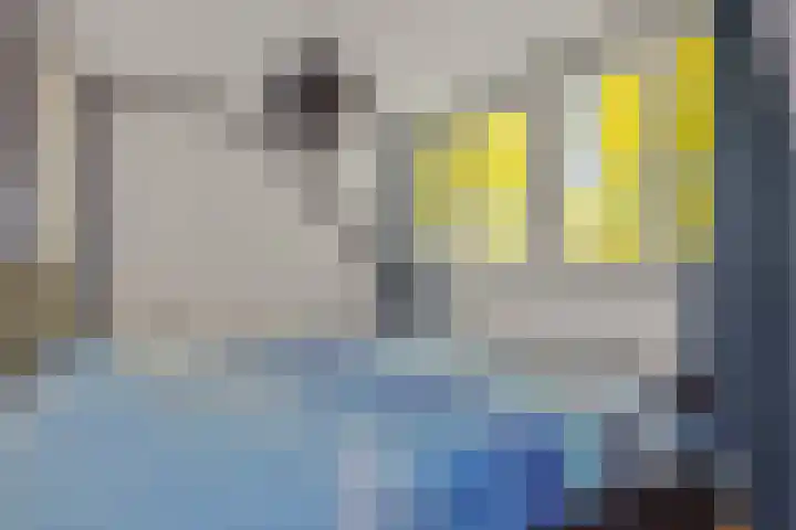 Katoenstraat 15 Deurne thumbnail 17
