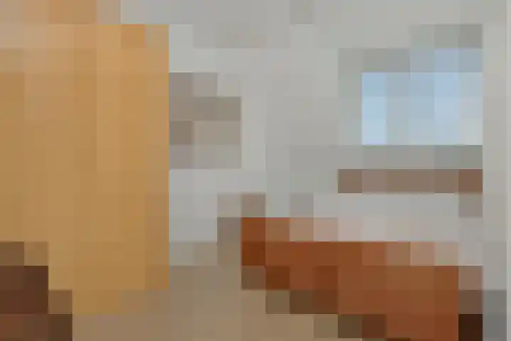 Katoenstraat 15 Deurne thumbnail 18