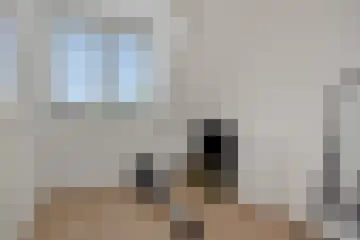 Katoenstraat 15 Deurne thumbnail 19