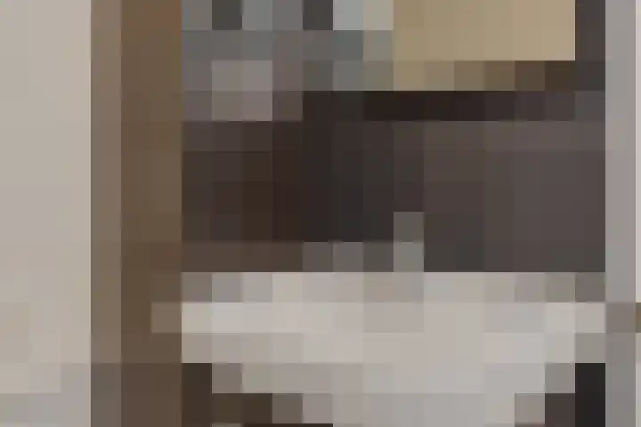 Katoenstraat 15 Deurne thumbnail 21