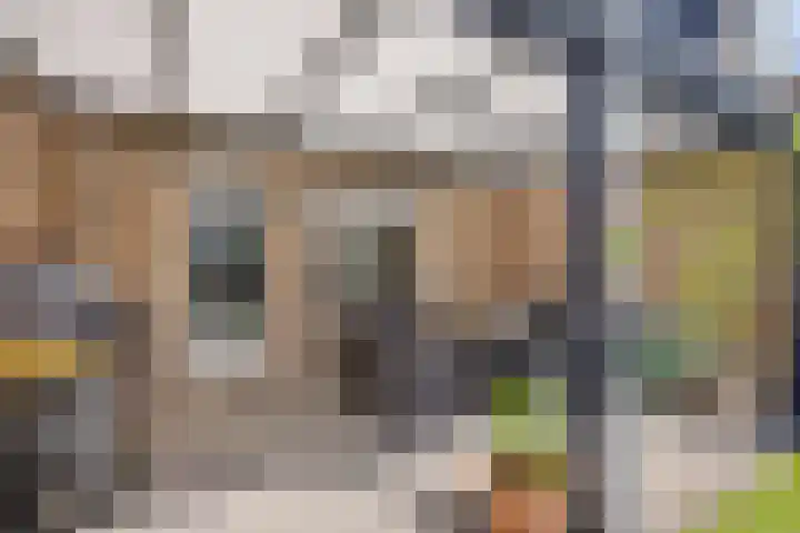 Katoenstraat 15 Deurne thumbnail 26