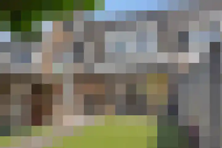 Katoenstraat 15 Deurne thumbnail 27