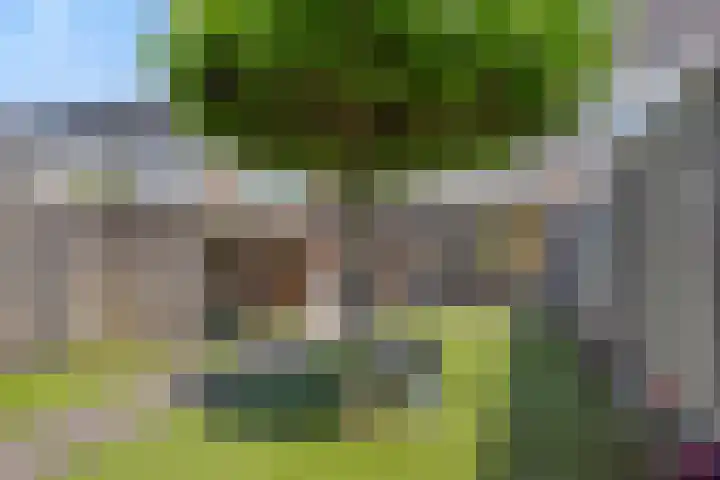 Katoenstraat 15 Deurne thumbnail 28