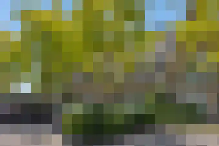 Katoenstraat 15 Deurne thumbnail 31