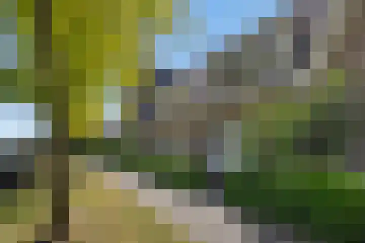 Katoenstraat 15 Deurne thumbnail 32