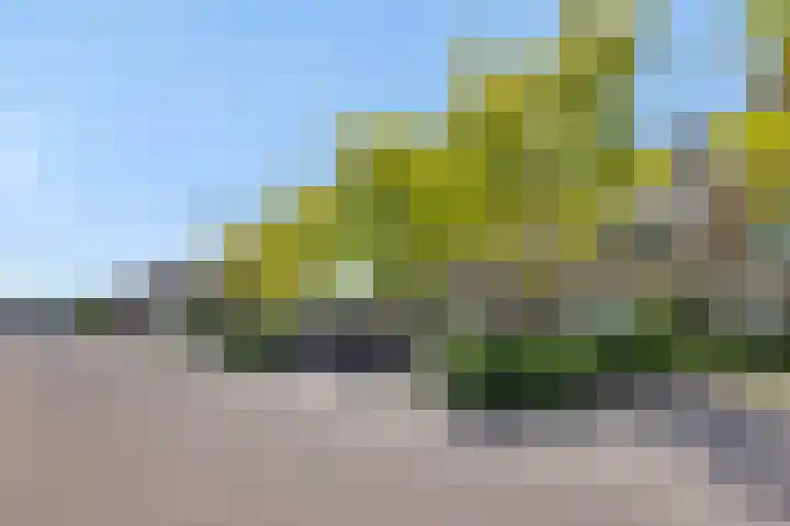 Katoenstraat 15 Deurne thumbnail 33
