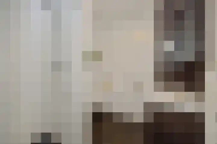 Katoenstraat 15 Deurne thumbnail 4