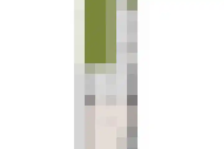 Katoenstraat 15 Deurne thumbnail 41
