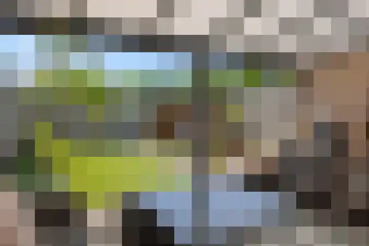 Katoenstraat 15 Deurne thumbnail 5