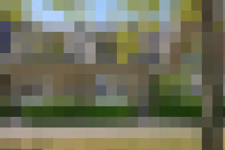 Katoenstraat 15 Deurne thumbnail 6