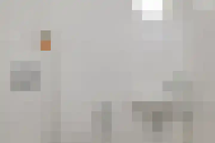 Katoenstraat 15 Deurne thumbnail 9