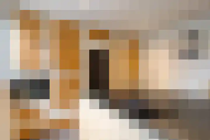 Katoenstraat 2 Deurne thumbnail 17