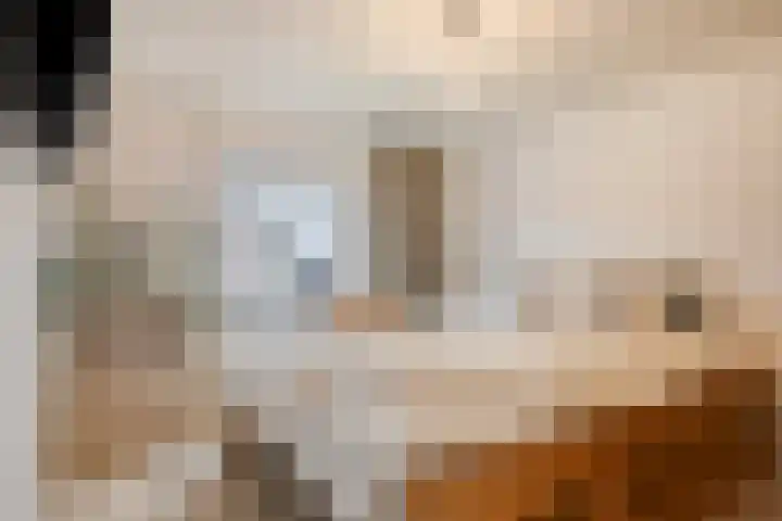 Katoenstraat 2 Deurne thumbnail 18