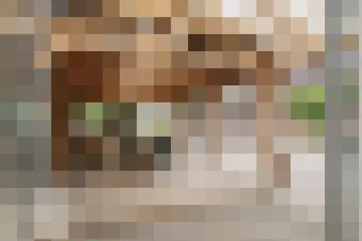 Katoenstraat 2 Deurne thumbnail 26