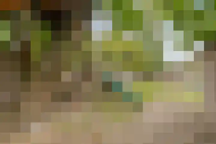Katoenstraat 2 Deurne thumbnail 30